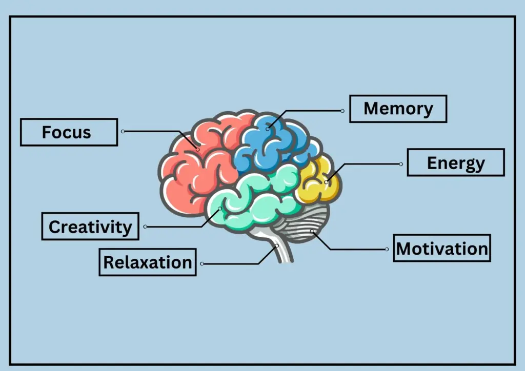 benefits-of-nootropics
